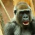 zoo-053
