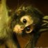 zoo-067