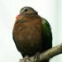 zoo-093