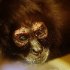 zoo-119