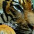 zoo-144