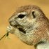 zoo-152