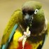 zoo-174